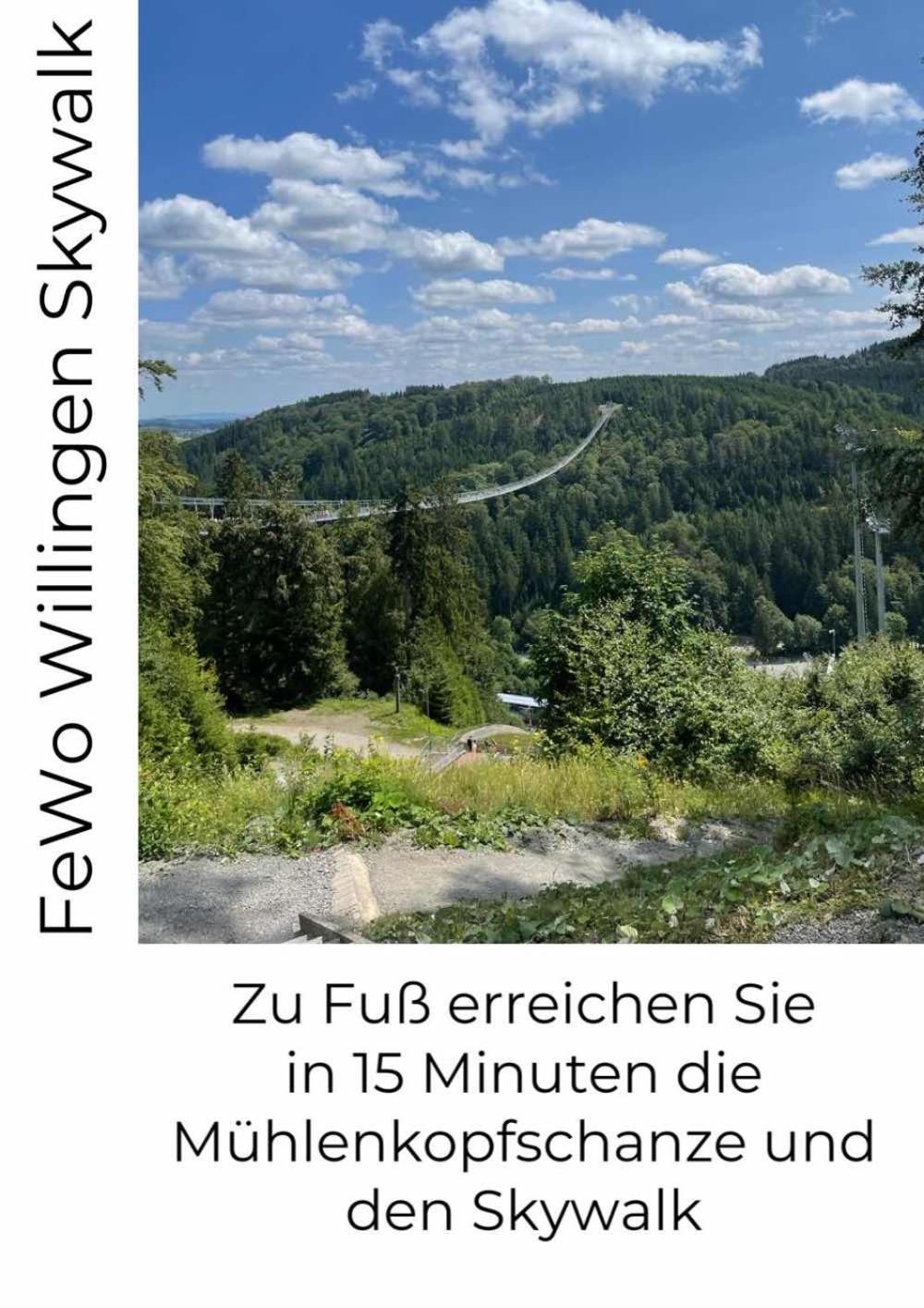 Fewo Skywalk Willingen Stryck Luaran gambar