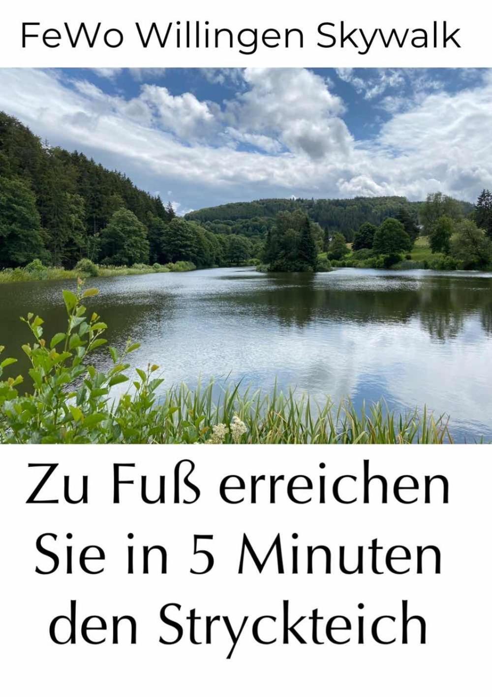 Fewo Skywalk Willingen Stryck Luaran gambar